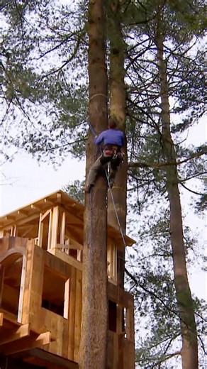 25 FT. HIGH Treehouse Rooftop Build! | Treehouse Masters | Animal Planet