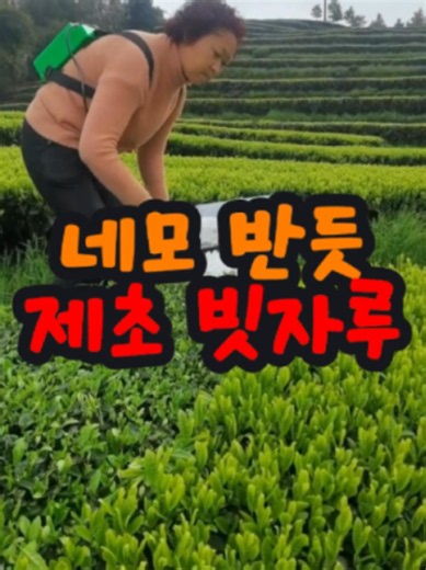 📌1739번 구매 : 제초 빗자루 트리머 / 상세 정보는 프로필 링크를 확인하세요 #트리머 #헤지트리머 #예초기 #제초기 #꿀템 #쿠팡추천템 #꿀템추천
