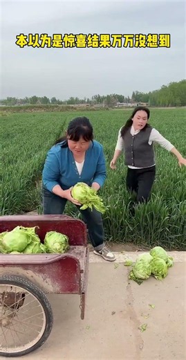 Funny Videos Chinese Funny Video 🤣 #shorts #funny #comedy
