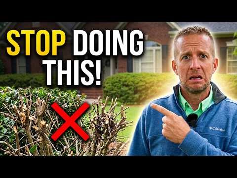 9 Pruning MISTAKES Most Homeowners Make