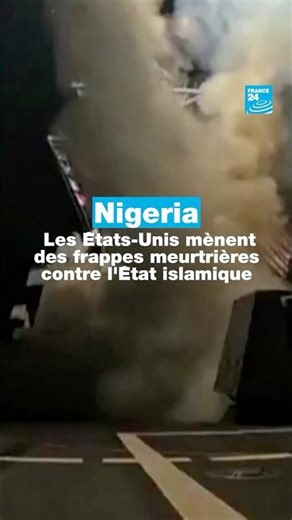 Nigeria : les Etats-Unis mènent des frappes meurtrières contre l'État islamique • FRANCE 24
