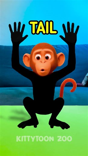 Monkey Business: Wild Body Facts You Didn't Know! 🐒