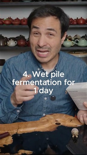 What is Fu Brick Tea?