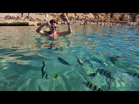 Top Most Beautiful Places In the World | From France & Switzerland to Thailand & Beyond! day6