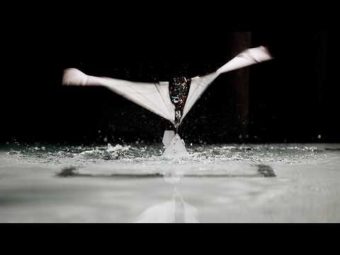 Puffin-Inspired Robot that Swims and Flies