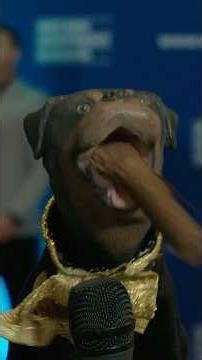 Triumph the Insult Comic Dog roasts Trump officials at the WHCD a.k.a. Black Tie January 6th