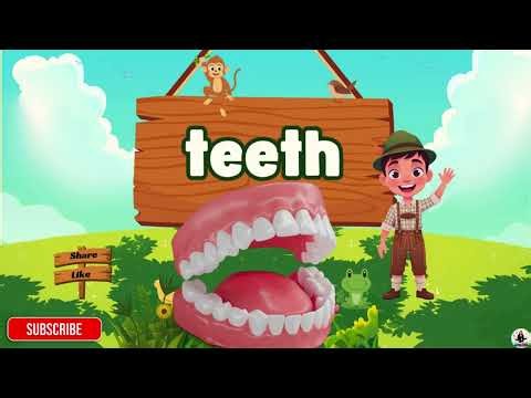 Phonics TH Sound | Learn to Read Words with TH | English for Kids