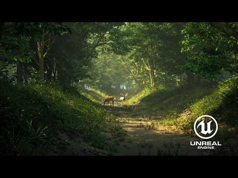 Forest Scene - Unreal Engine 5