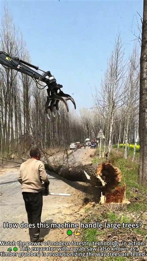 Efficient Tree Cutting with High-Tech Machines 🌲🔧