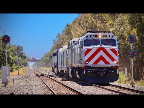 Caltrain F40 Leads an Amtrak Equipment Move Through Davis, CA!