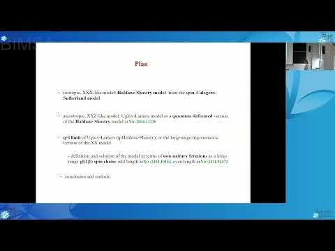Didina Serban — The fermionic point of the q-deformed Haldane–Shastry model