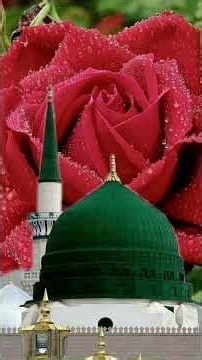#4 taraf Noor Chaya aqa #ka milad# aaya 💚💚💚