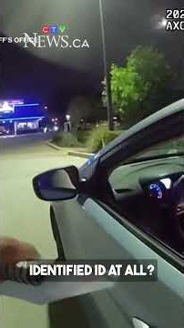 Canadian woman pulled over in Florida with 12 pieces of fake identification