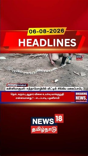 Kanyakumari | Python Rescue | Snake Rescue கன்னியாகுமரி: ஈத்தாமொழியில் வீட்டில் சிக்கிய மலைப்பாம்பு