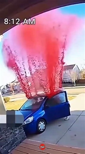 Survived paint blast 🥵🚗 #porchpirate #automobile #prank #funny