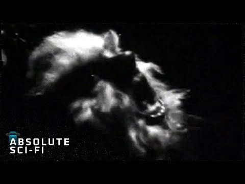 Werewolf Sightings: Fact, Folklore or Something More?