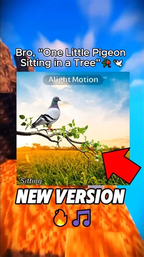 "One Liitle Pigeon Sitting in a Tree" JUST EVOLVED 💀🕊 (Meme Song) 🔥
