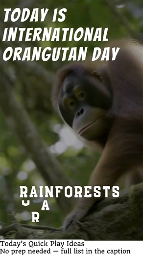 International Orangutan Day