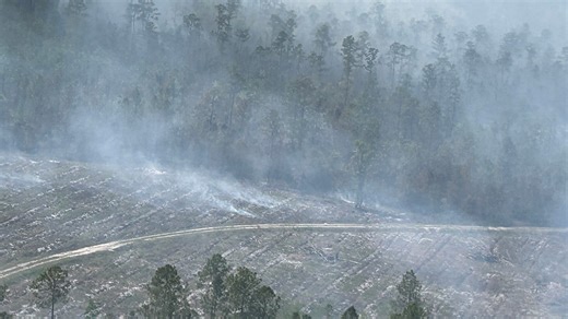 Georgia wildfires cause air quality alert for South Carolina. What it means