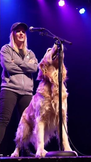 me and my dog perform on the stage.please subscribe to the channel and comment too