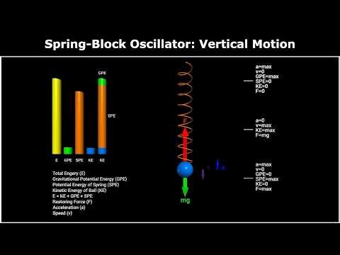 Simple Harmonic Motion (SHM) - Vertical Motion | Forces, Motion & Energy