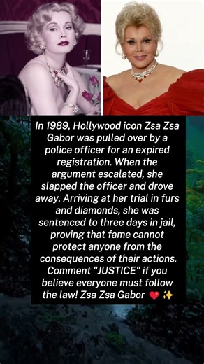 The Courtroom Spectacle That Shocked Hollywood: Inside the Legacy of Zsa Zsa Gabor