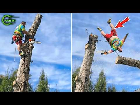 Idiots With Chainsaws: Tree Cutting Fails | Extreme Dangerous Logging Truck Fails #36