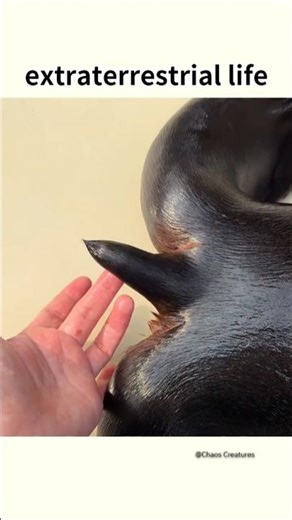 Extraterrestrial Life?