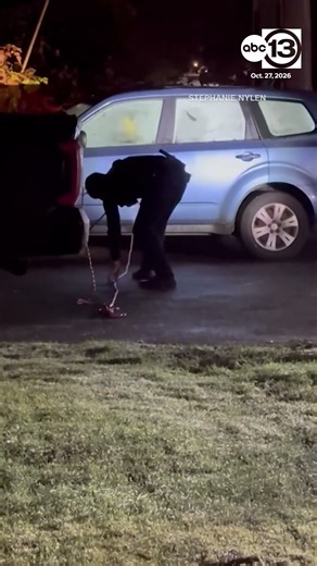 A bear locked itself inside a car in Alaska and absolutely destroyed the interior.
