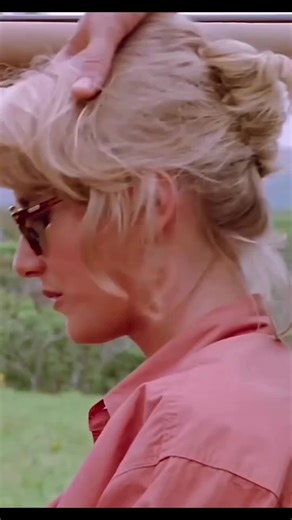 Olive of Sinai Restaurant Experience Review