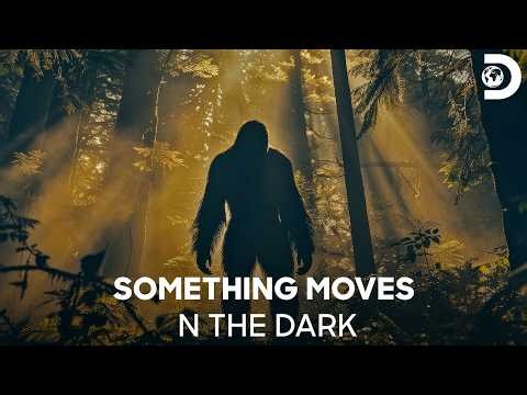 The Hunt Begins After Dark | Expedition Bigfoot | Discovery Channel India
