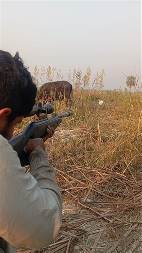 TARGET SHOOTING CHALLENGE CAN I HIT THE MARK 🔥BEST TARGET PRACTICE ROUTINE FOR IMPROVED ACCURACY 🔍