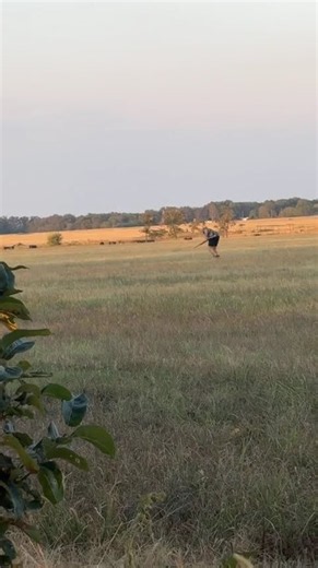 Who has been dove hunting this season? Send us your best photos and videos! Via: IG/_blakegifford