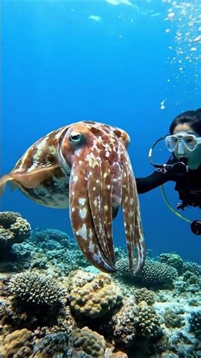 I Found The Weirdest Alien Creatures In The Deep Ocean! 😱👾 #DeepSeaCreatures #deepsea #ScubaDiving