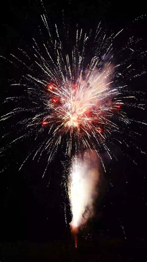 100 Shots A Giant Tree #pyro #pyrotechnics #fireworkscake #fireworks2026