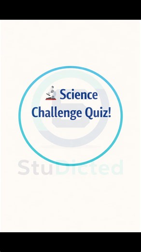 Which Process Changes Water into Water Vapour? | Class 3 Science Quiz 🌊🔥