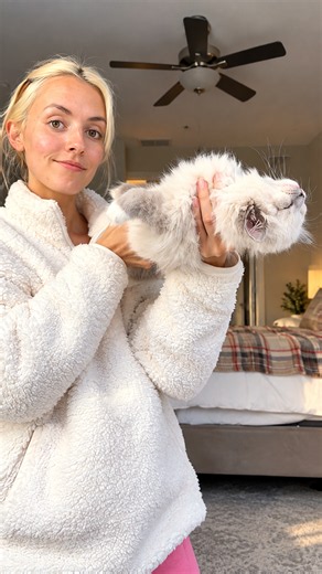 The surprising cat breed that goes completely limp