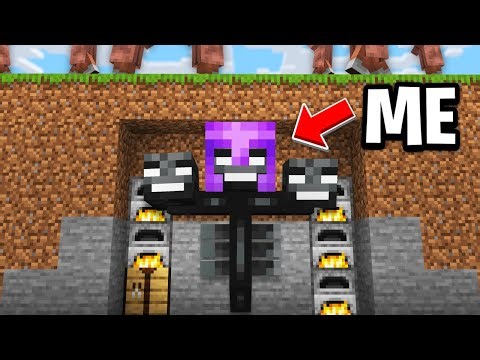 Minecraft, But I Become Mobs…