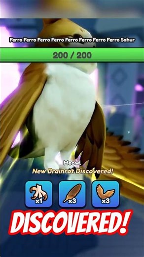 Meowl Secret Found Inside the Shop Crates – Brainrot Evolution Roblox!