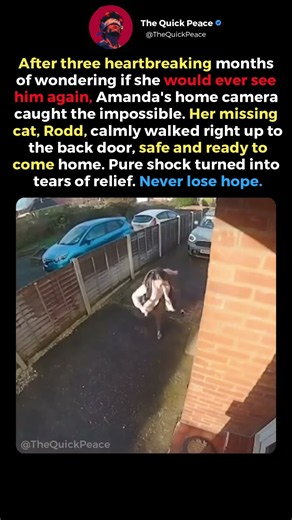 Missing Cat Returns After Three Months #MissingCat #CatReunion