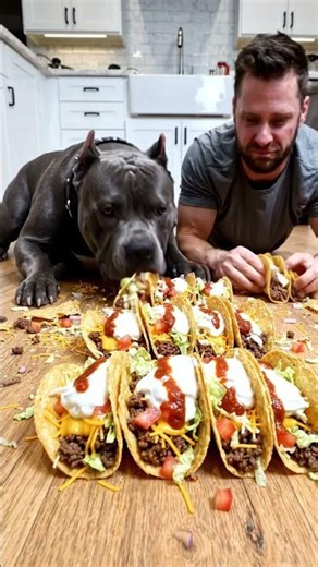 The Taco Race Was a COMPLETE Disaster 🌮😂