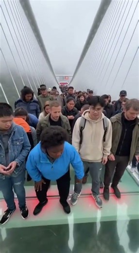 Glass Bridge Vibrates Like an Earthquake as Tourists Panic and Fear Takes Over