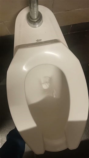 2021 American Standard Madera with Zurn flushometer