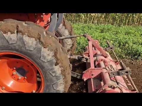 SATISFYING TRACTOR WORK! WATCH THIS FARM LAND TRANSFORM! - Agricultural Farming
