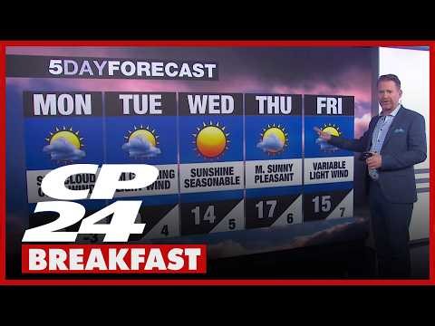 Sunshine with cool temperatures expected across the GTA