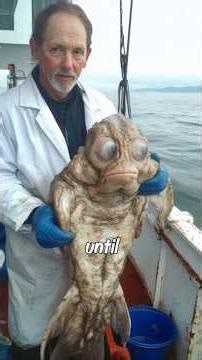 Real Aliens Found 3,000 Feet Under the Sea!