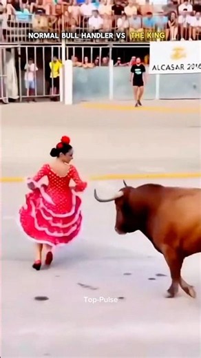 Normal bull handler vs the king 👑 🐂