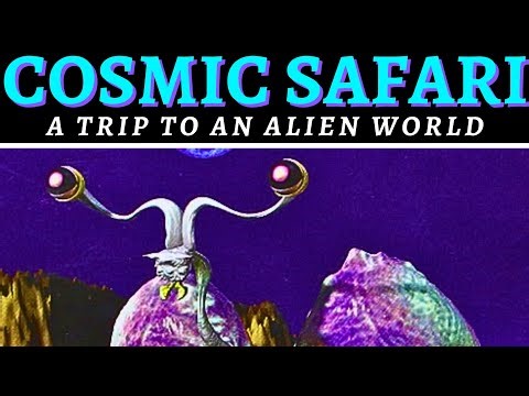 Cosmic Safari - A Journey Across Time and Space