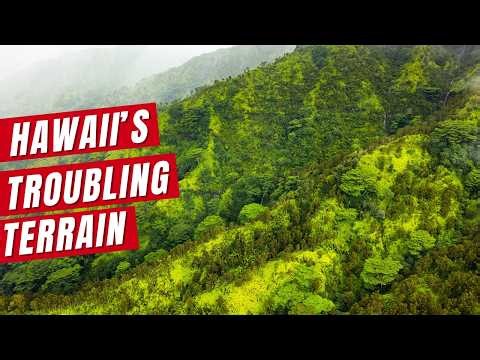 'Huge Problem’ Heading for Hawaiian Islands, Robert Ray Warns