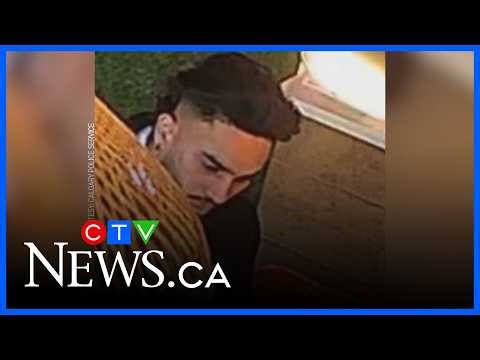 Assault in Calgary restaurant under investigation | CTV News Calgary Noon Update for April 15, 2026
